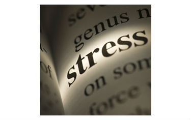 Case study on stress management in the workplace