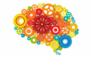 Mental Health Training - Brain filled with different coloured cogs