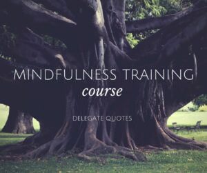 Mindfulness Training Course