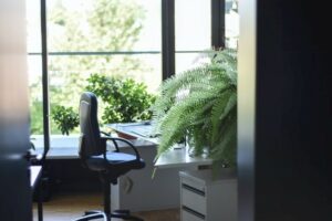 A leafy, green plant on a desk with black office chair beside a window for 5 Tips to Reduce your Personal Stress at Work