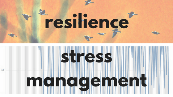 Comparing resilience training and stress management training – What is the difference?