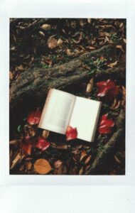 An open book against a tree root with a scattering of autumn leaves