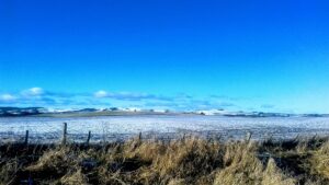 Landscape photo of light snow on a field with a bright blue winter sky