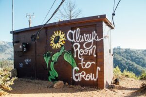 Close view of brown wooden shed with a sunflower and the words room to grow painted on the side