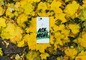 Yellow maple leaves with a white smartphone lying amongst them which has 'Ask More' written across its reverse