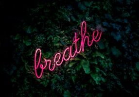 The word 'breathe' in pink fluorescent tube lighting set against a background of green foliage.
